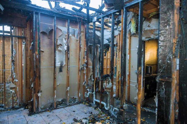 Professional Odor Removal technician working in Lexington, MO